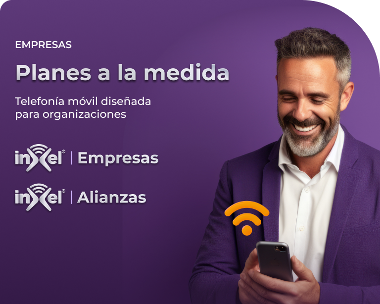 Imagen de un hombre de negocios usando la red de inXel